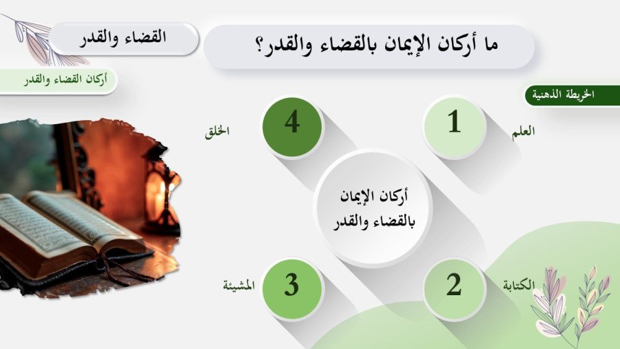 صورة من تفاصيل المادة