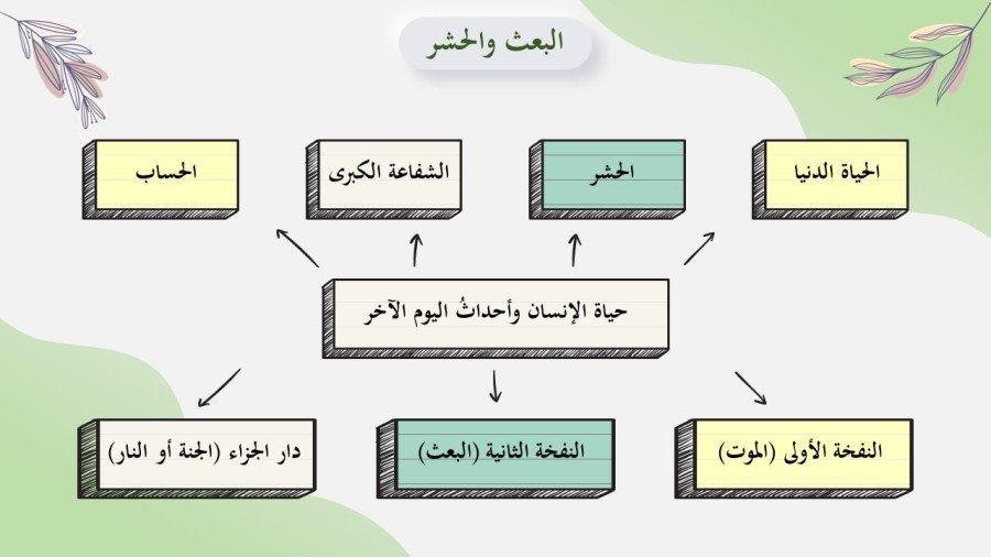 صورة من تفاصيل المادة