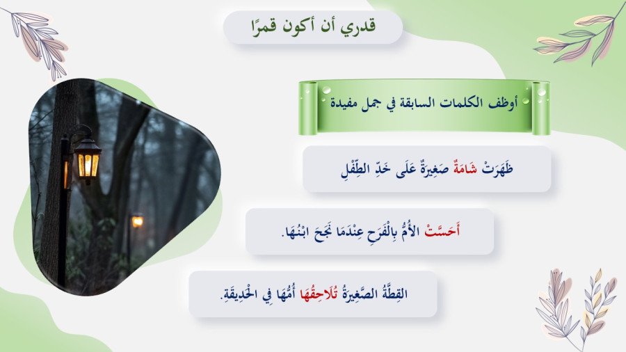 صورة من تفاصيل المادة